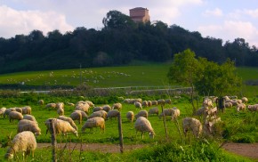 Valle di Perna